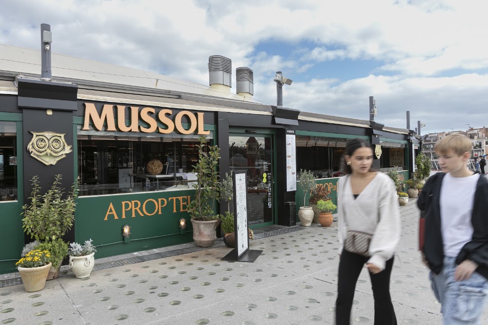 Foto de Mussol Arenas