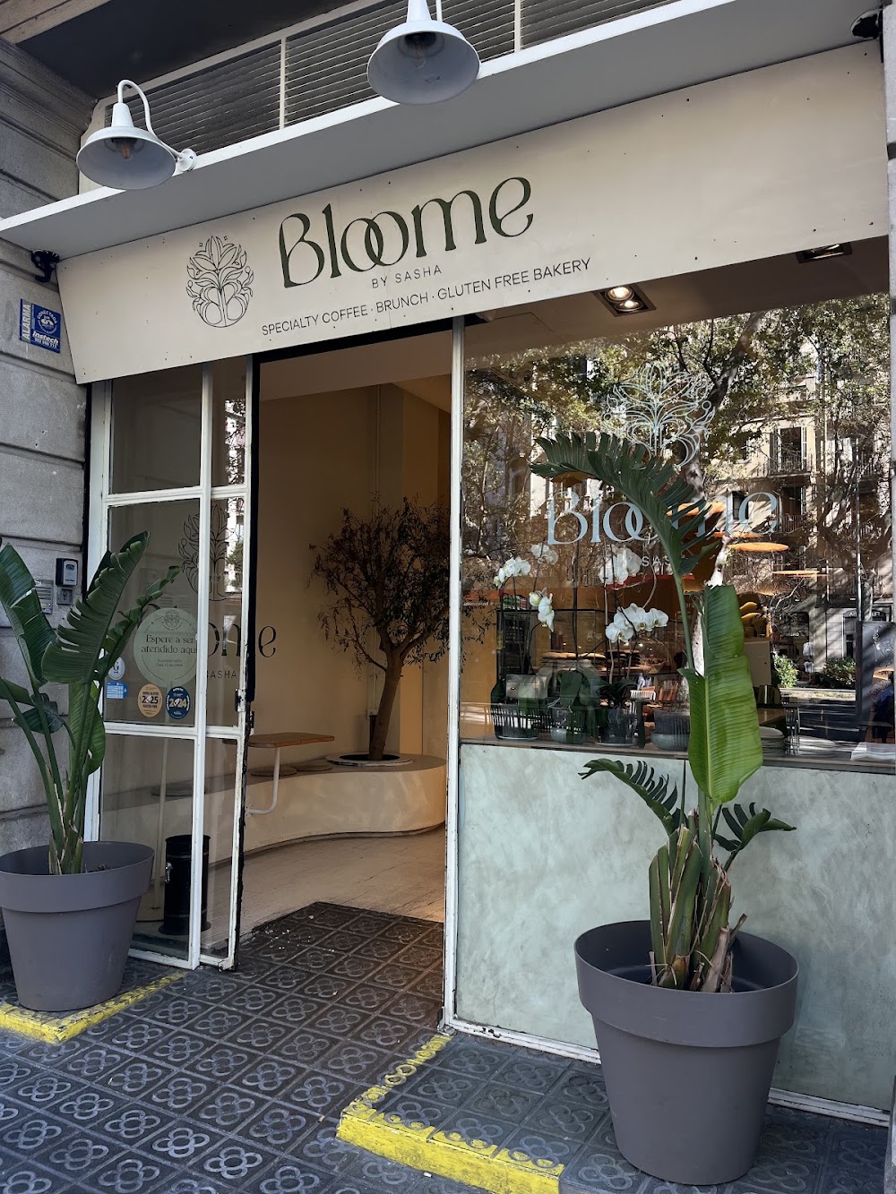 Foto de Bloome By Sasha | Brunch Sin Gluten Eixample