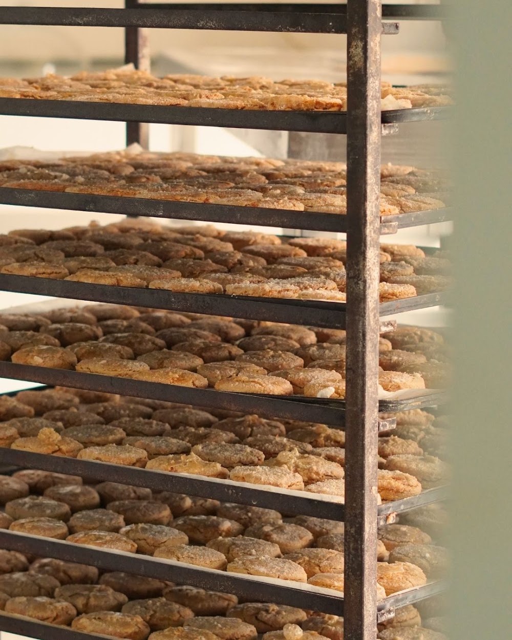 Foto de Obrador Oliva | SIN GLUTEN