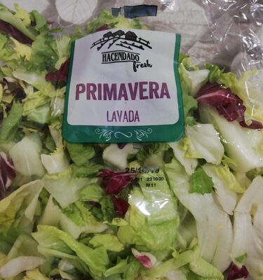 Foto de Ensalada primavera lavada
