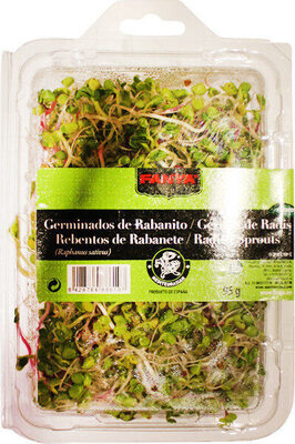 Foto de Germinados de rabanito