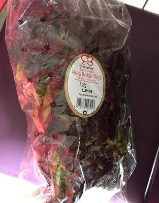 Foto de Lehuga hoja de roble