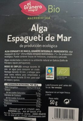 Foto de Alga Espagueti de Mar
