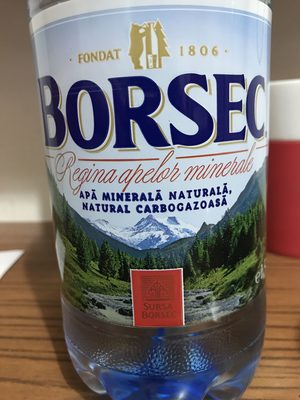 Foto de Borsec, regina apelor minerale apă minerală, natura carbogozoasă