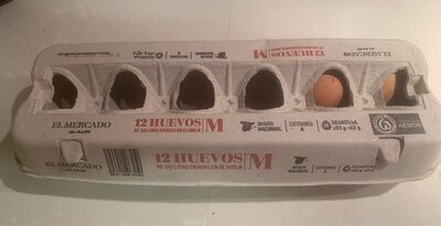 Foto de Huevos gallina criadas en suelo
