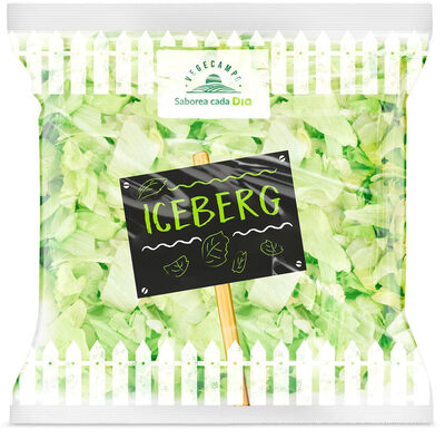 Foto de Iceberg