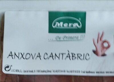 Foto de Anxova cantàbric