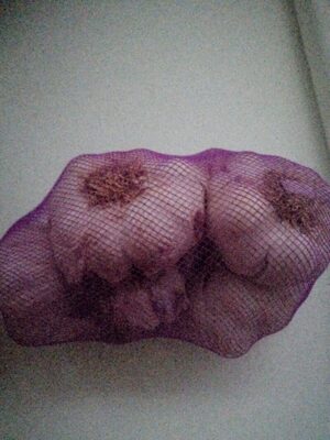 Foto de Ajo Variedad Spring Violeta