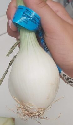 Foto de Cebolla