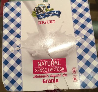 Foto de Yogur Natural Sin Lactosa