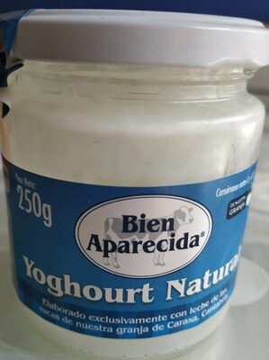 Foto de Yoghourt Natural