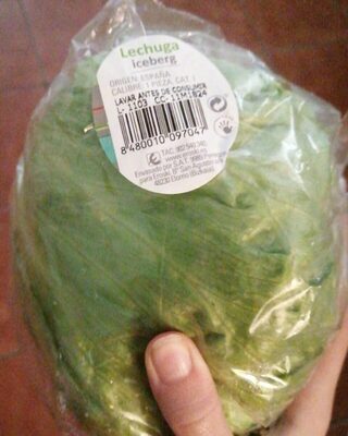 Foto de Lechuga iceberg
