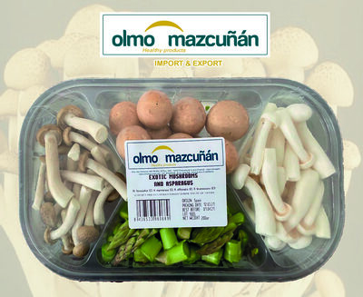 Foto de Mezcla de setas "Olmo Mazcuñán"