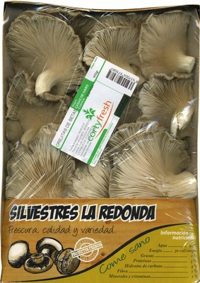 Foto de Setas de ostra