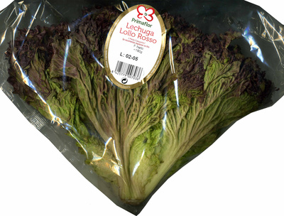 Foto de Lechuga Lollo rosso
