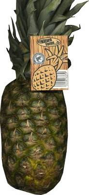 Foto de Piña