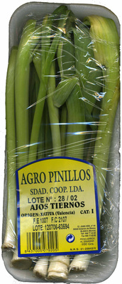 Foto de Ajos tiernos
