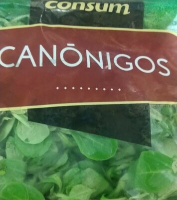 Foto de Canónigos