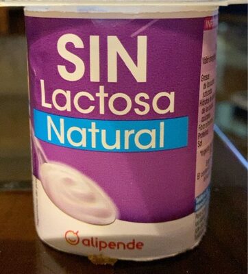 Foto de Yogur natural sin lactosa