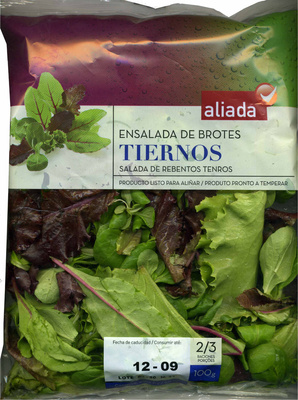 Foto de Ensalada de brotes tiernos