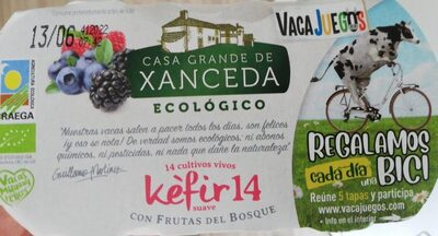 Foto de Yogurt ecológico Kefir 14 con frutas del bosque