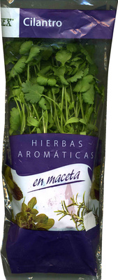 Foto de Maceta de cilantro