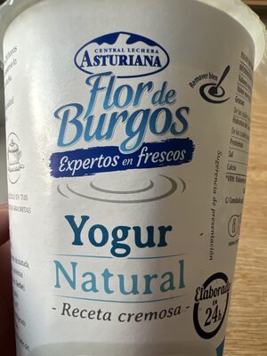 Foto de Yogur Natural Flor de Burgos