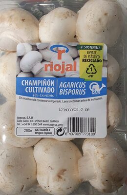 Foto de Champiñon cultivado