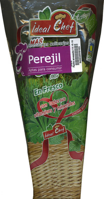 Foto de Maceta de perejil