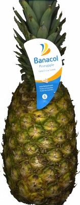 Foto de Piña