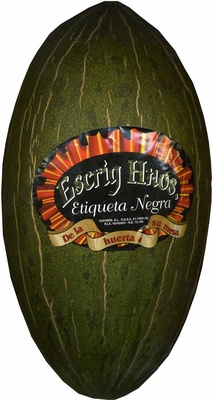 Foto de Melón variedad piel de sapo