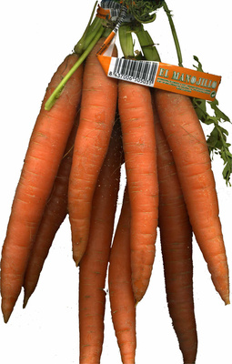 Foto de Zanahorias