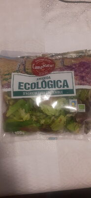Foto de Amanida Ecologica