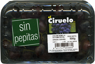 Foto de Uvas negras sin semillas "El Ciruelo"