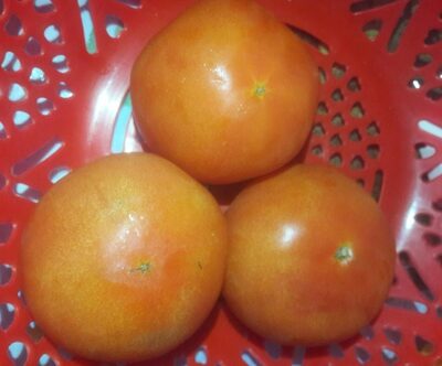 Foto de Tomates