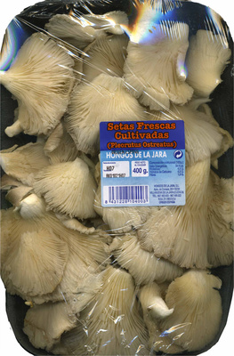 Foto de Setas de ostra "Hongos de la Jara" (400 g)