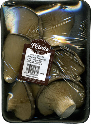 Foto de Seta cultivada
