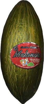 Foto de Melón variedad piel de sapo