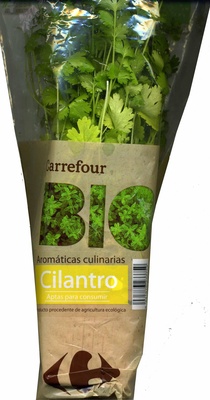 Foto de Maceta de cilantro