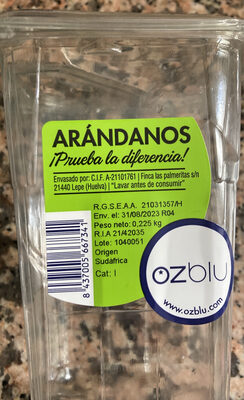 Foto de Arandanos