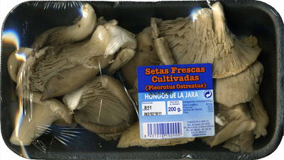 Foto de Setas Frescas Cultivadas (Pleorotus Ostreatus)