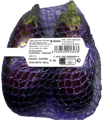 Foto de Berenjenas "Vicasol"