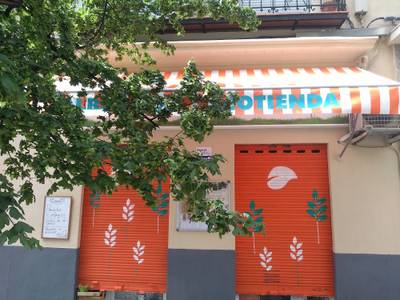 Foto de Albahaca Ecotienda