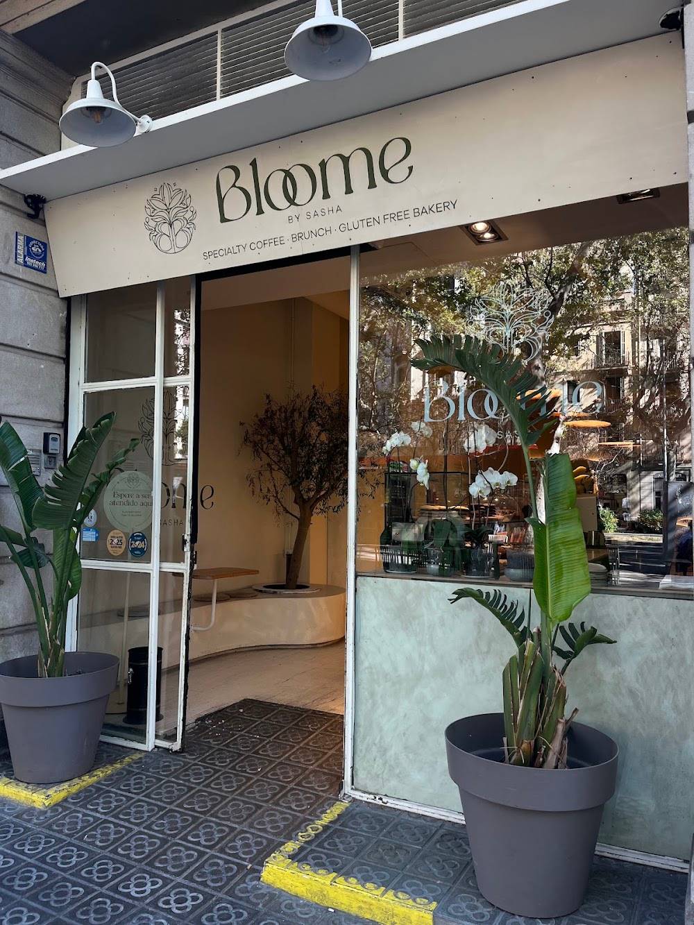 Foto de Bloome By Sasha | Brunch Sin Gluten Eixample